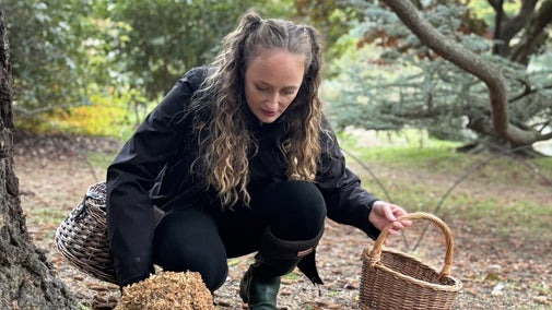A woman with a basket foraging for fungi at Sheffield Park and Garden